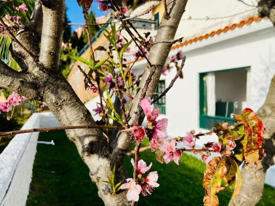 Vivienda Vacacional Con Vistas. Apartamento Sauzal Exterior foto